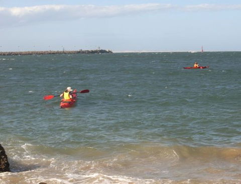 Newcastle Kayak Tours - Sydney 4u 1