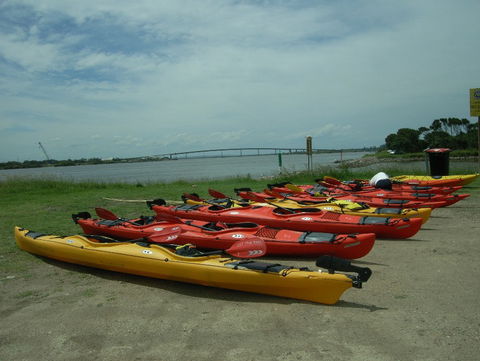 Newcastle Kayak Tours - Sydney 4u 2