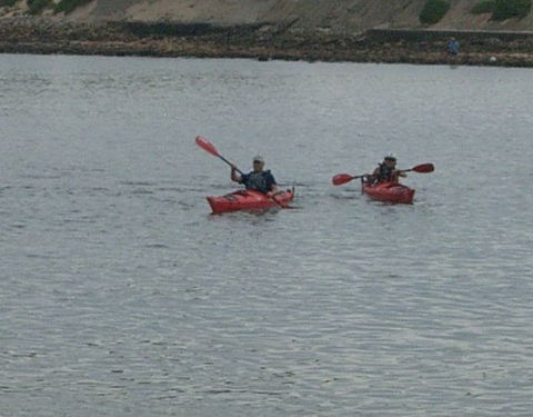 Newcastle Kayak Tours - Sydney 4u 4