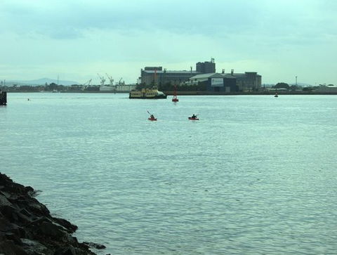 Newcastle Kayak Tours - Sydney 4u 5