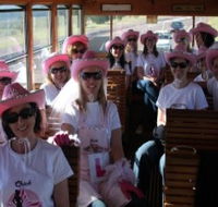 Newcastles Famous Tram - Accommodation Sydney