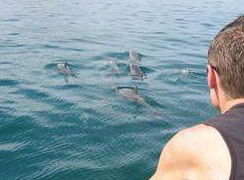 Tex Tours - Accommodation Sydney 3