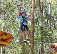 TreeTops Newcastle - Accommodation Sydney