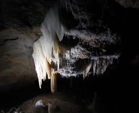 Country Charmâ„¢ Discovery Tours - Sydney Resort 1