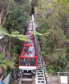 Country Charmâ„¢ Discovery Tours - Sydney Resort 6