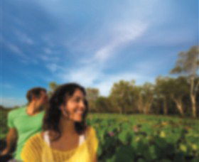 AAT Kings Guided Tours (Top End) - Sydney 4u 3