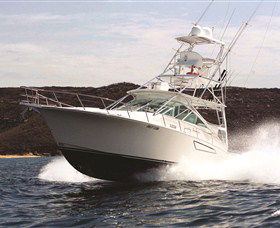 1300 Big Fish - Sydney 4u 0
