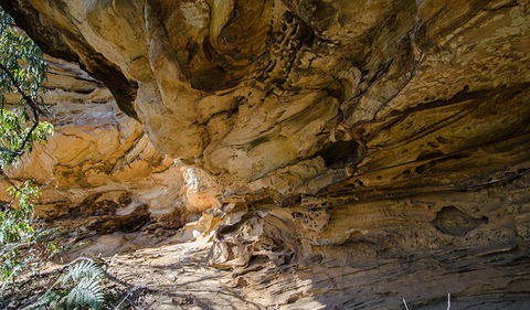 Marramarra National Park - Sydney 4u 0