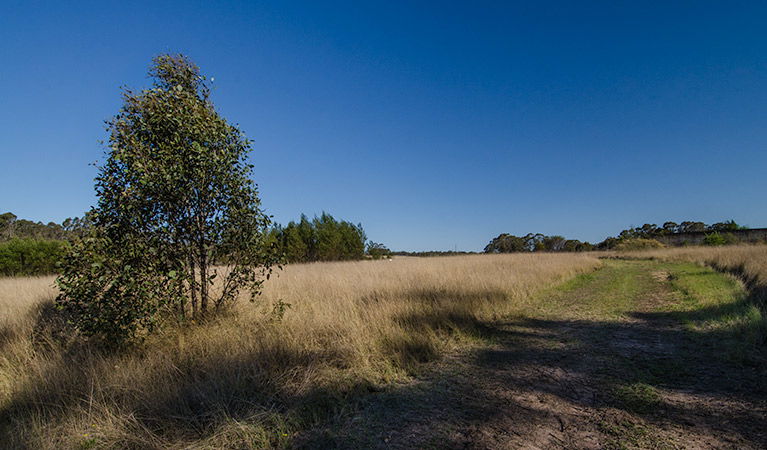 Oakville NSW Sydney 4u