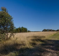 Scheyville horse riding trails - Accommodation Sydney