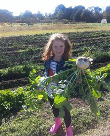 Made In Macarthur Food And Wine Tours - Accommodation Sydney 2