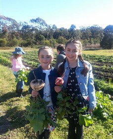 Made In Macarthur Food And Wine Tours - Accommodation Sydney 5