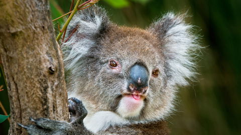 Brisbane Water National Park - Sydney 4u 2