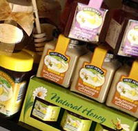 Blue Mountains Honey Company - The Honey Shed - Accommodation Sydney
