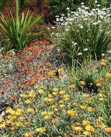 Mt Penang Gardens - Sydney 4u 4