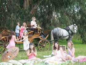 Classic Carriage Drives - Accommodation Sydney 1