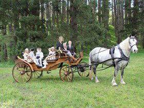 Classic Carriage Drives - Accommodation Sydney 0