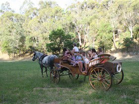 Classic Carriage Drives - Accommodation Sydney 3