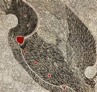 Marshall Arts - Sydney Resort