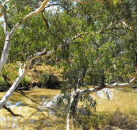 Quilberry Creek Fishing - Accommodation Sydney