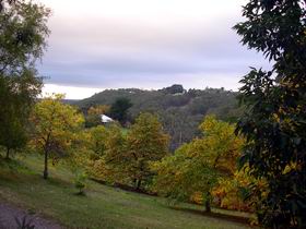 Nirvana Organic Produce And Farm - Accommodation Sydney 2