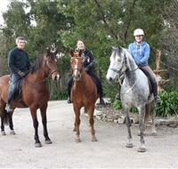Academy of Dressage - Accommodation Sydney