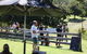 Sidewood Estate - thumb 2
