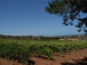 Grancari - Sydney 4u 0