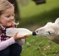 Hahndorf Farm Barn - Sydney Resort