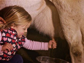 Hahndorf Farm Barn - Accommodation Sydney 1