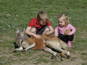 Hahndorf Farm Barn - Accommodation Sydney 3