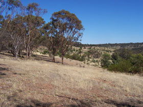 Onkaparinga River National Park - Sydney 4u 0