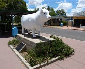 Aramac - The White Bull - Accommodation Sydney 2