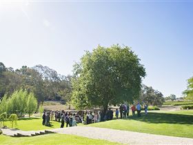 Howard Vineyard - Accommodation Sydney 1