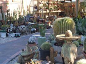 Cactus Creations - Sydney 4u 0