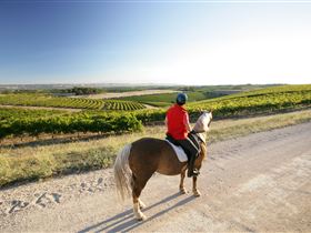 Willunga Hill SA Sydney 4u