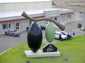 The Big Olive - Accommodation Sydney 0