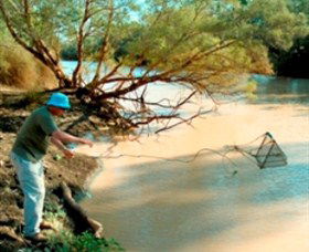 Charleville - Ward River Fishing Spot - Accommodation Sydney 0