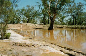 Charleville - Ward River Fishing Spot - Accommodation Sydney 2