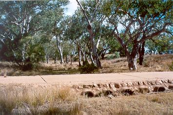 Charleville - Ward River Fishing Spot - Accommodation Sydney 1