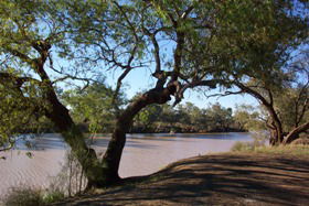 Charleville - Bakers Bend Warrego River Fishing Spot - Accommodation Sydney 1