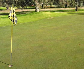 Wentworth Sporting Complex - Sydney Resort 0