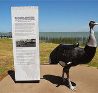 Birdman of the Coorong - Accommodation Sydney