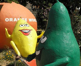 Orange World - Sydney Resort 0