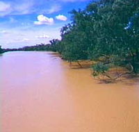 Warrego River - Accommodation Sydney