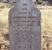 St Patrick's Catholic Churchyard Graves - Accommodation Sydney