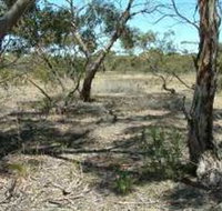 Tintinara Walking Trail - Accommodation Sydney