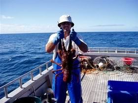 Lacepede Seafood - Accommodation Sydney 2