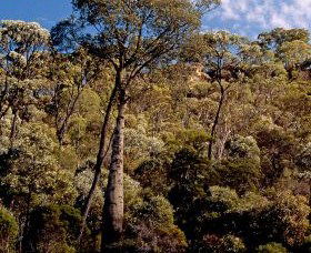 Ka Ka Mundi, Carnarvon National Park - Accommodation Sydney 0