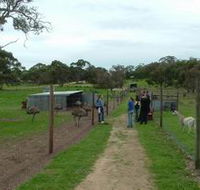 Avenue Emus - Accommodation Sydney